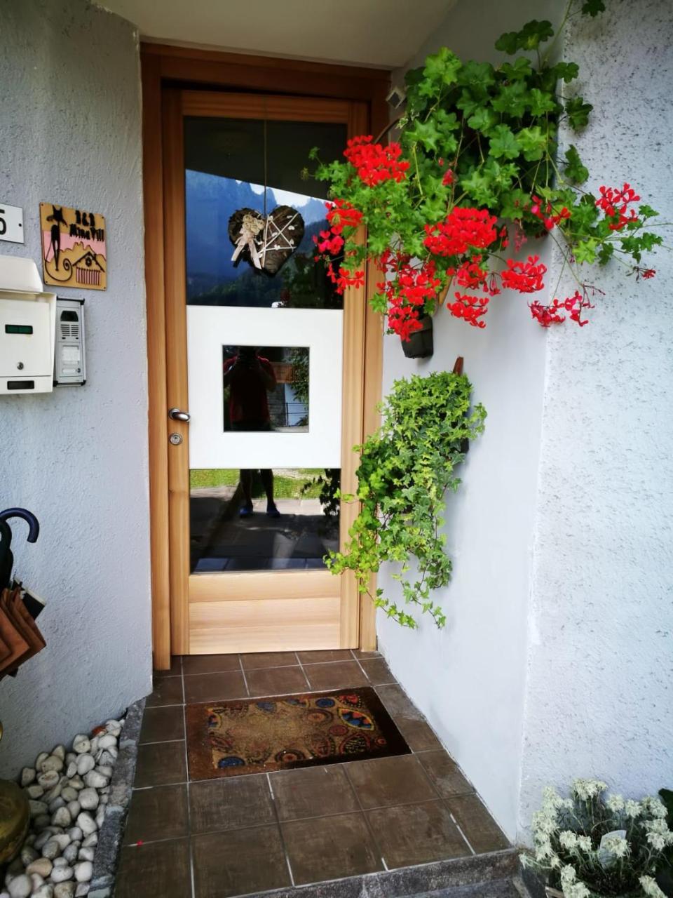 Minavill La Casa Sulle Dolomiti Bed and Breakfast Fiera Di Primiero Εξωτερικό φωτογραφία