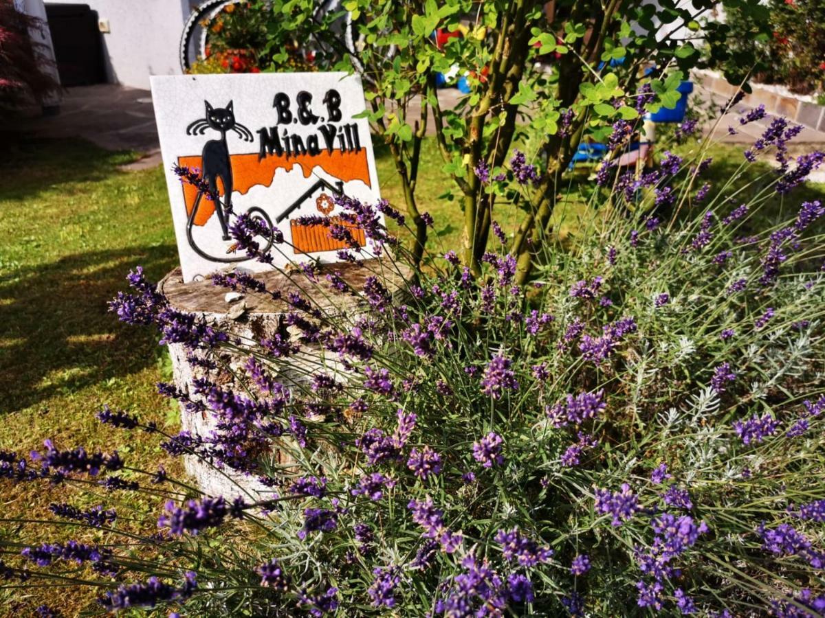 Minavill La Casa Sulle Dolomiti Bed and Breakfast Fiera Di Primiero Εξωτερικό φωτογραφία