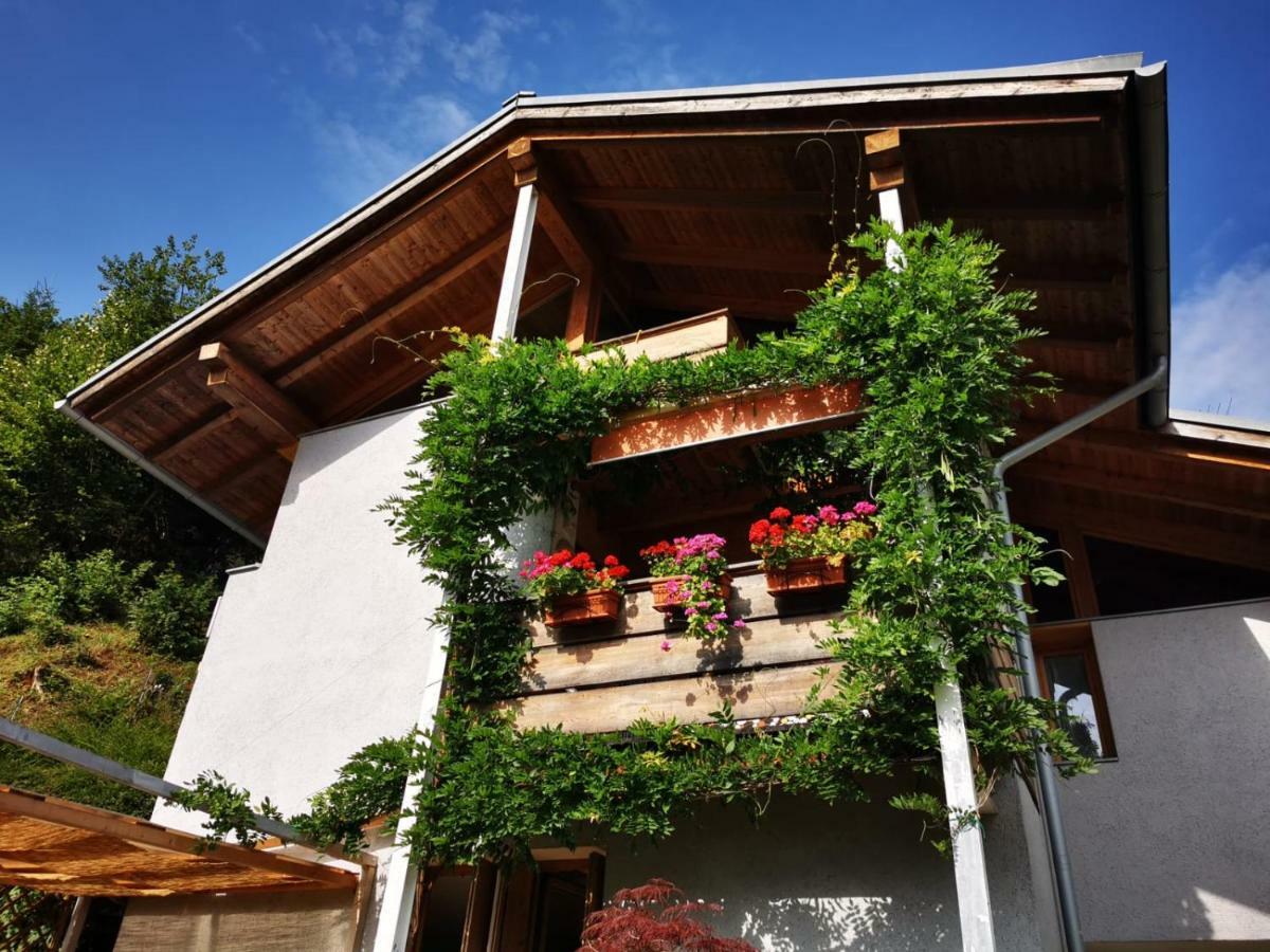 Minavill La Casa Sulle Dolomiti Bed and Breakfast Fiera Di Primiero Εξωτερικό φωτογραφία