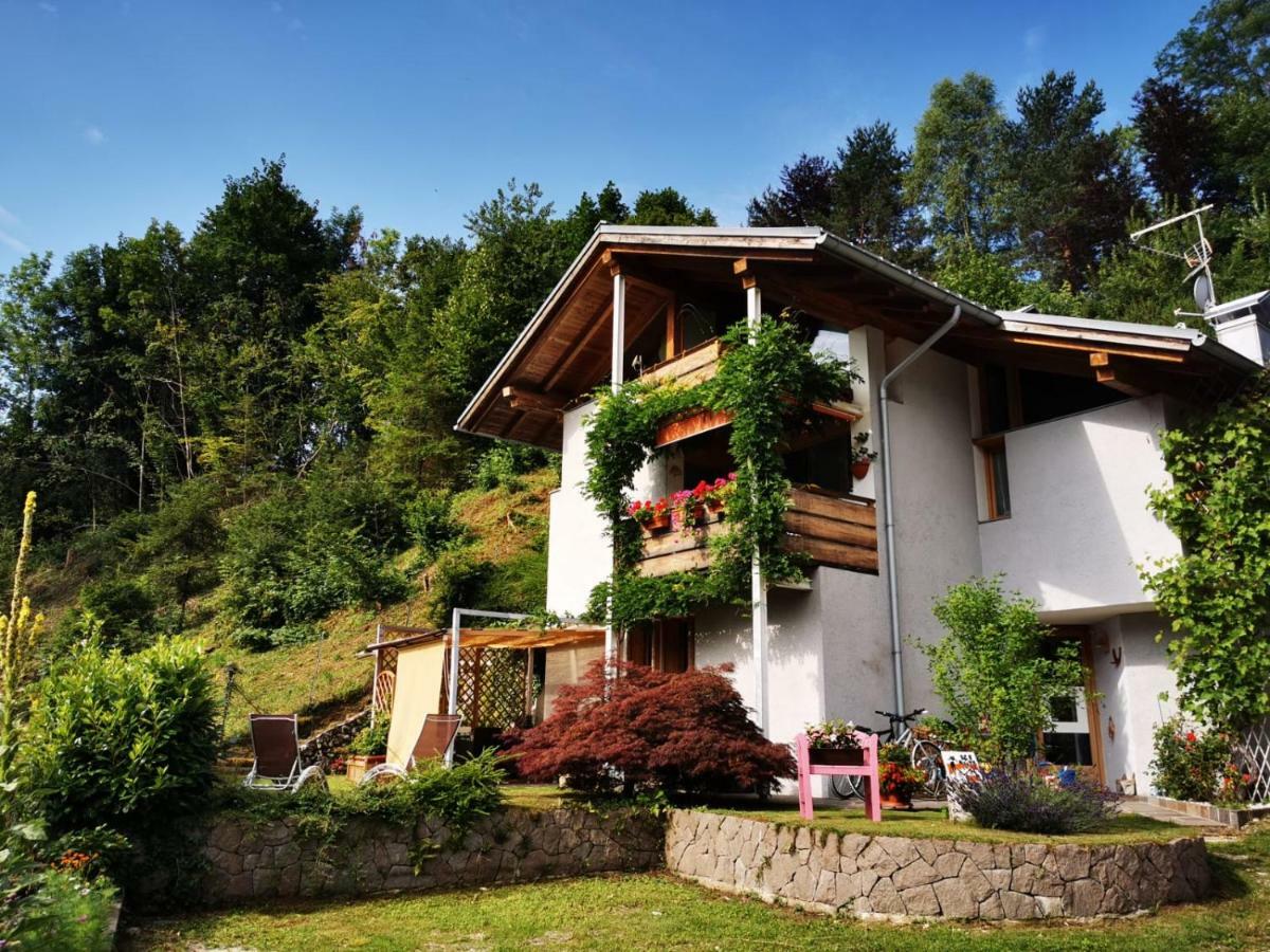 Minavill La Casa Sulle Dolomiti Bed and Breakfast Fiera Di Primiero Εξωτερικό φωτογραφία
